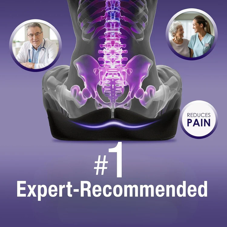 Vertaease Back Support Cushion β Relieve Back Pain in Minutes
